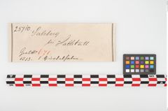 Etikett zu Bimetallgürtelhaken (NHMW-PRAE-025710)